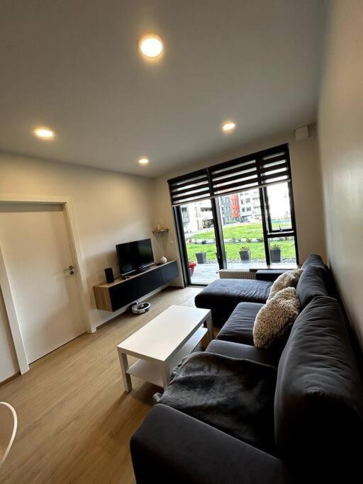 A Modern & Homely Apartment Reykjavík Zewnętrze zdjęcie